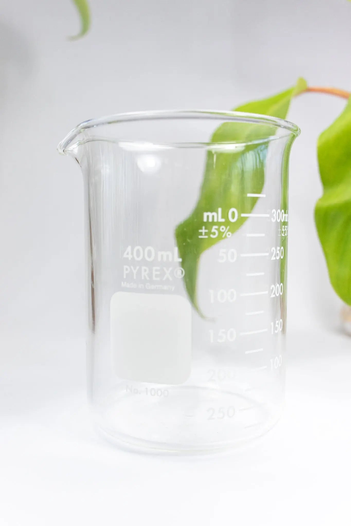 PYREX Glass Beaker - Laboratory from Stemcell Science Shop