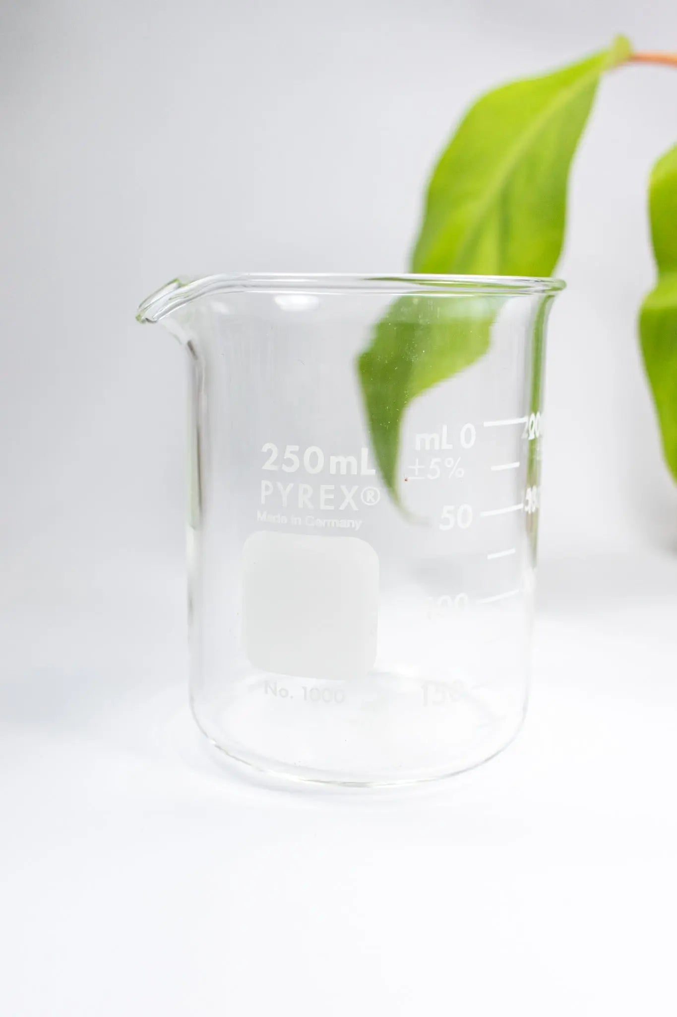 PYREX Glass Beaker - Laboratory from Stemcell Science Shop