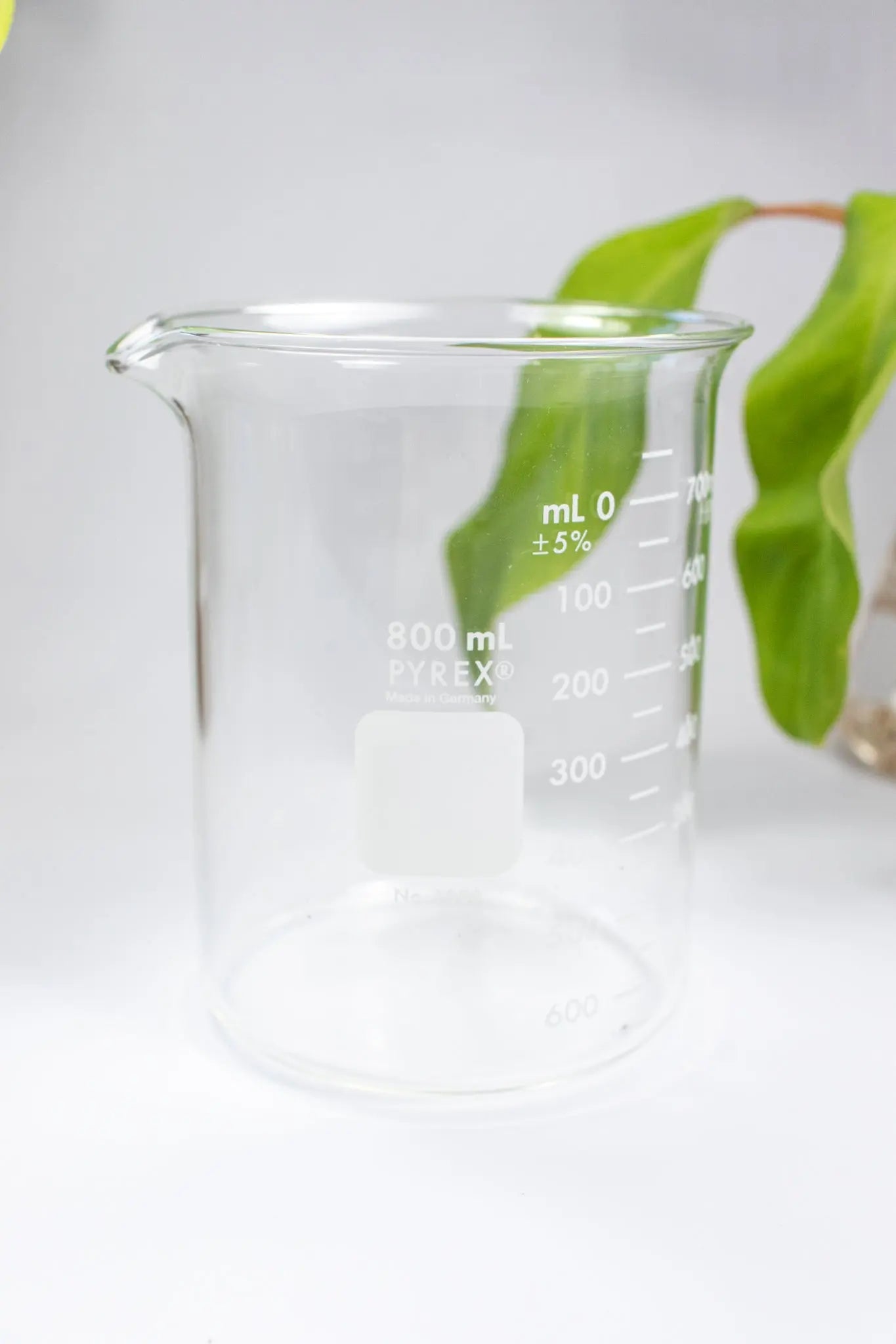 PYREX Glass Beaker - Laboratory from Stemcell Science Shop