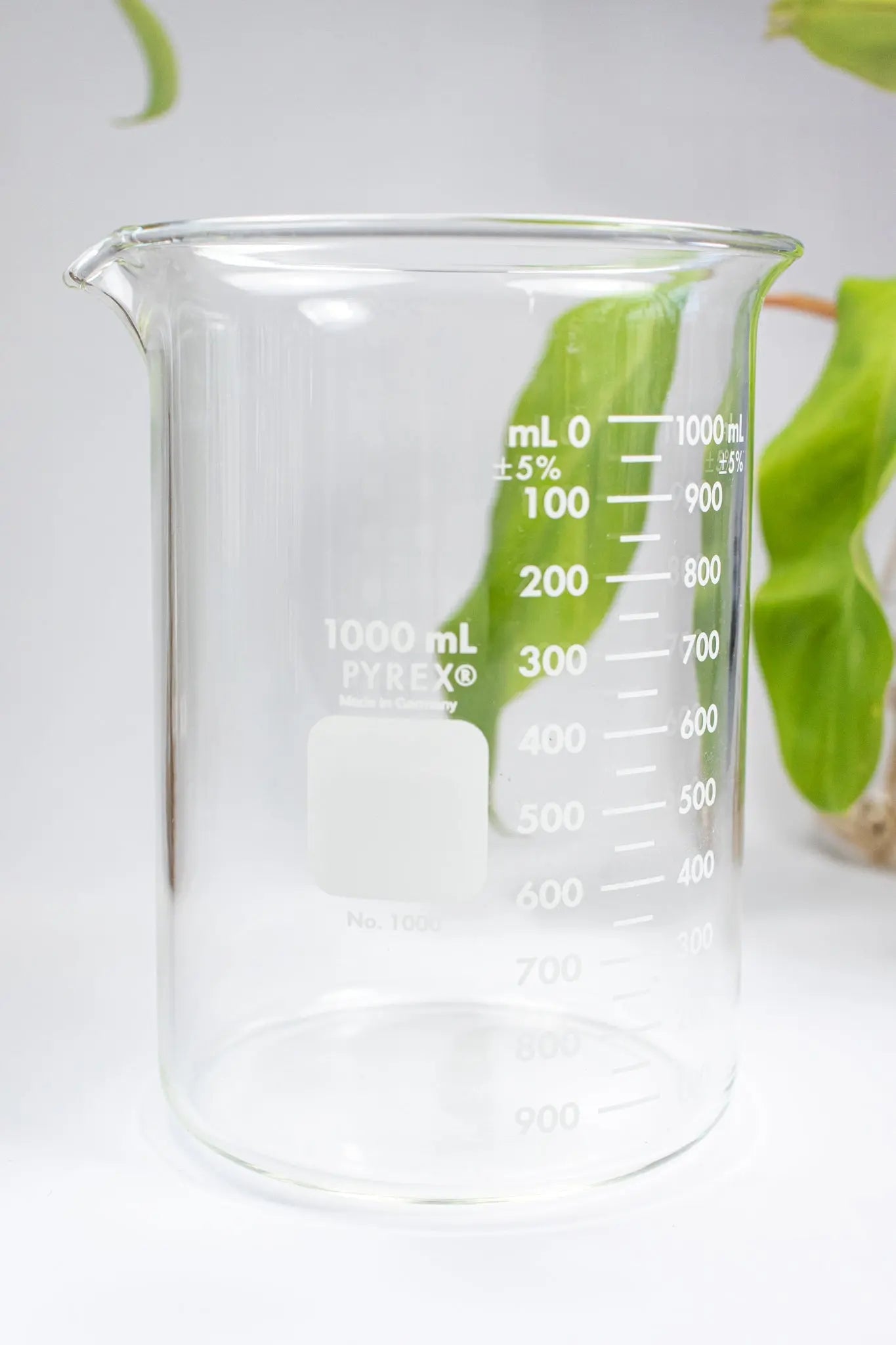 PYREX Glass Beaker - Laboratory from Stemcell Science Shop