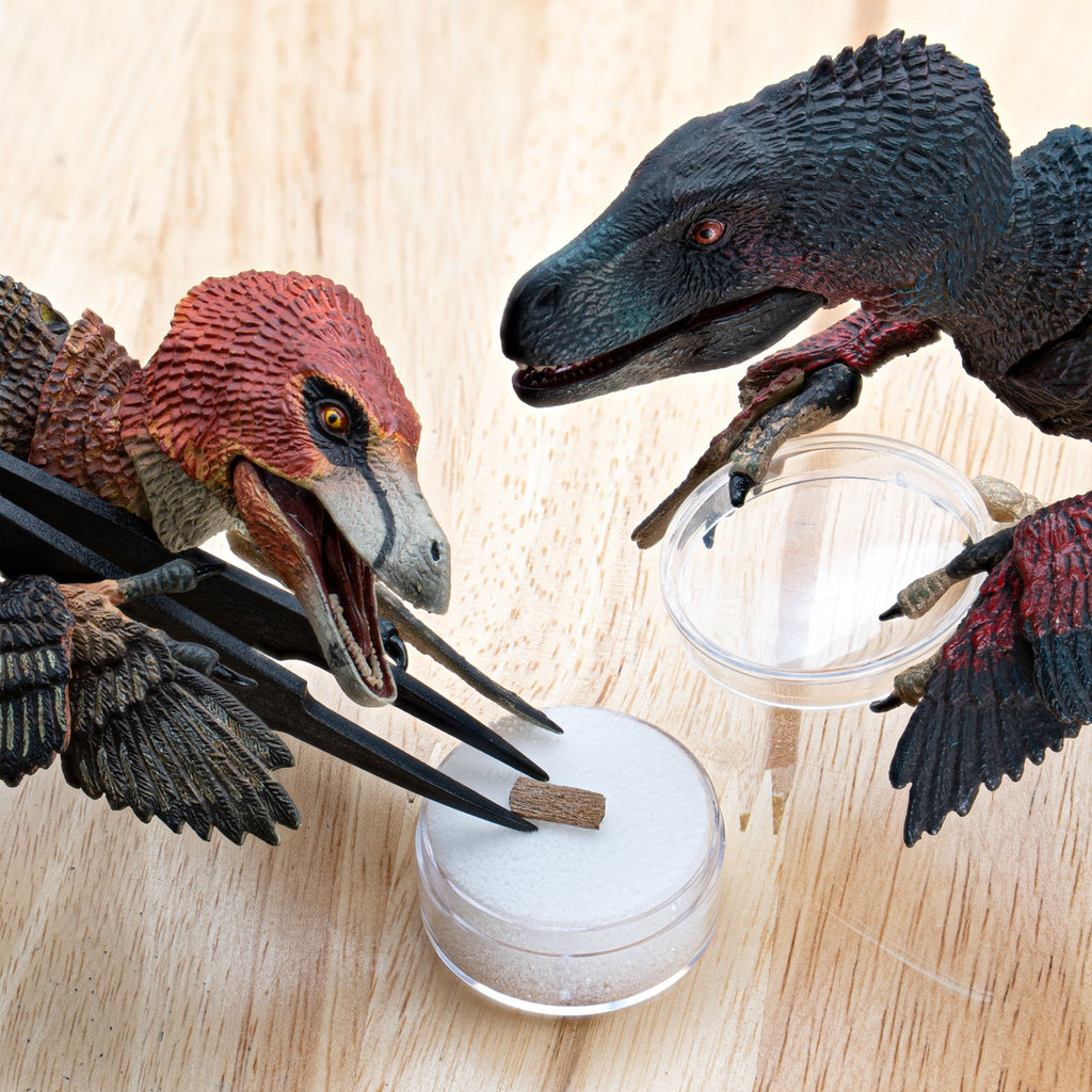 Raptor Bone
