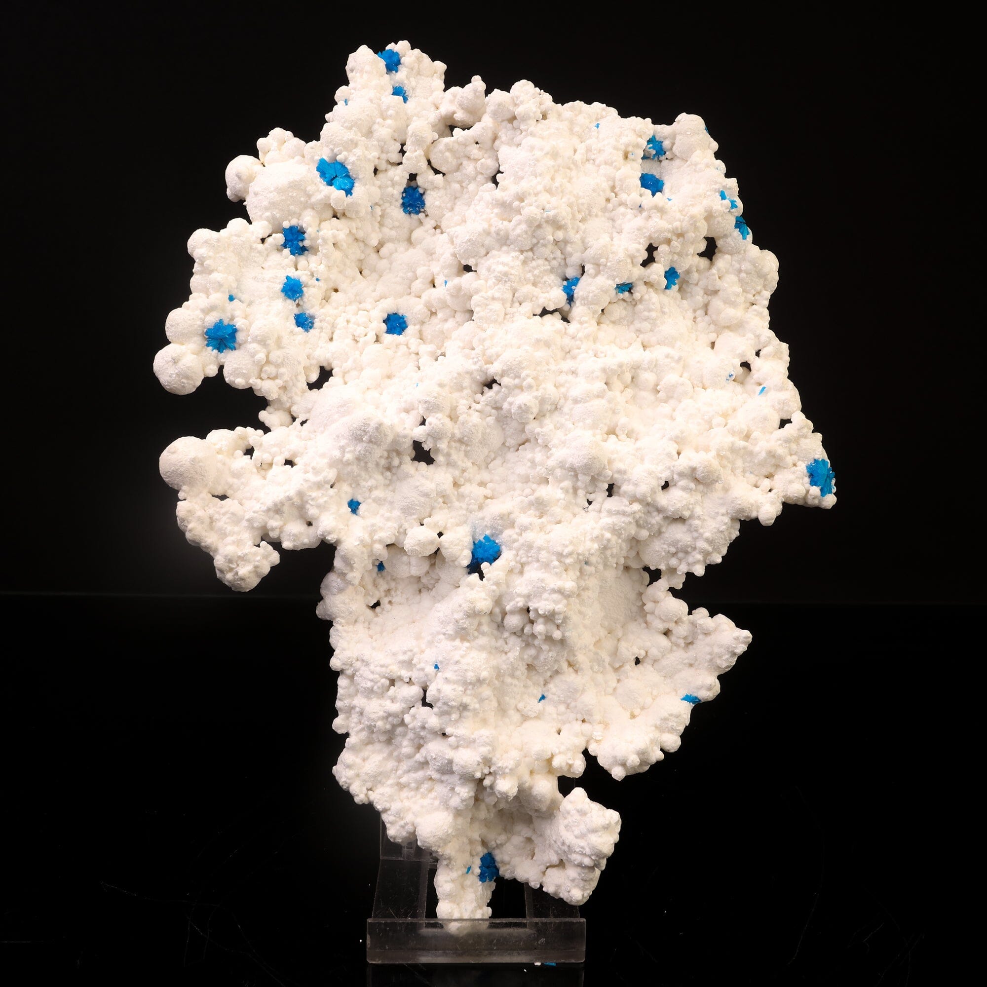 Rare Cavansite on Floater Mordenite Natural Mineral Specimen, Default Title at Stemcell Science Shop