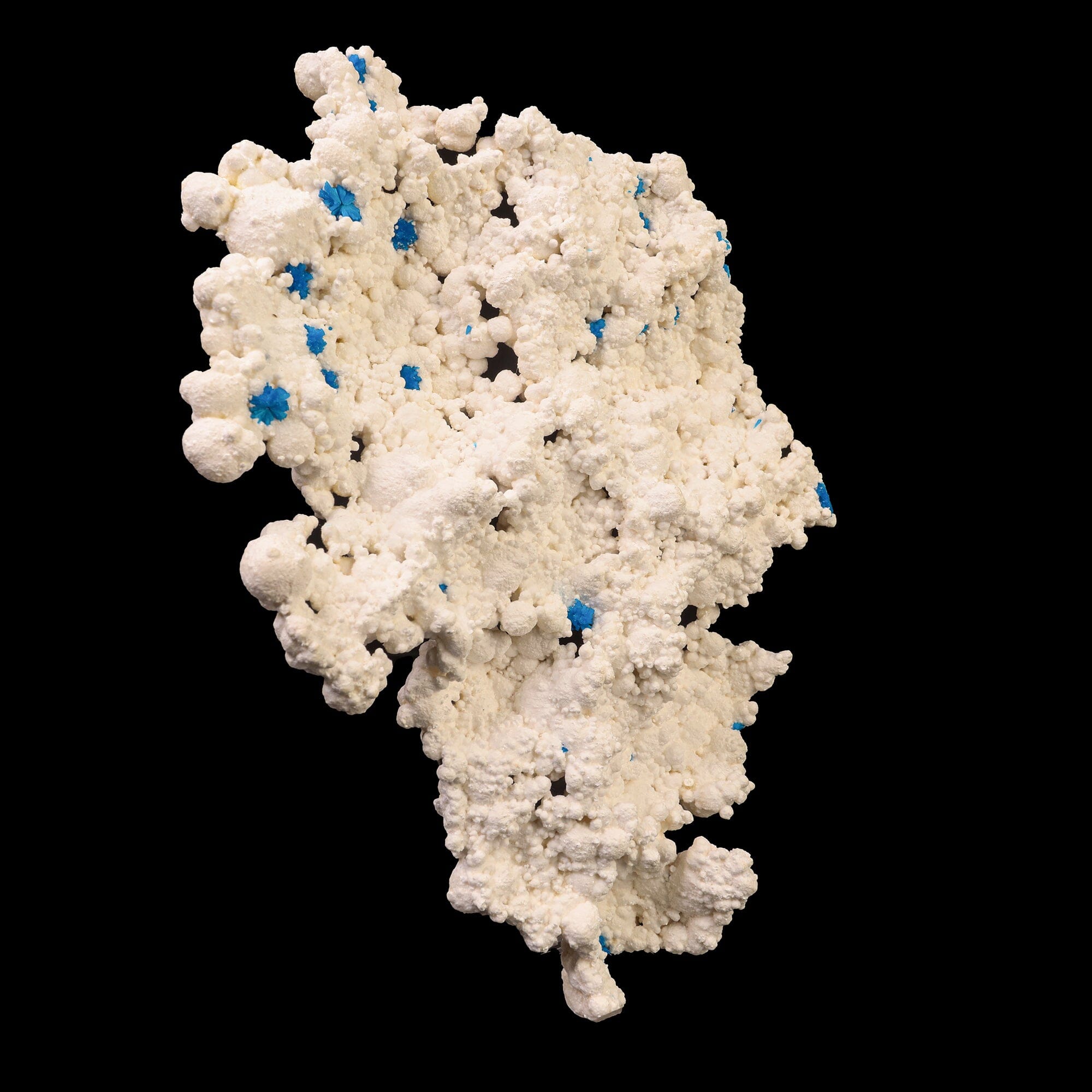 Rare Cavansite on Floater Mordenite Natural Mineral Specimen, Default Title at Stemcell Science Shop
