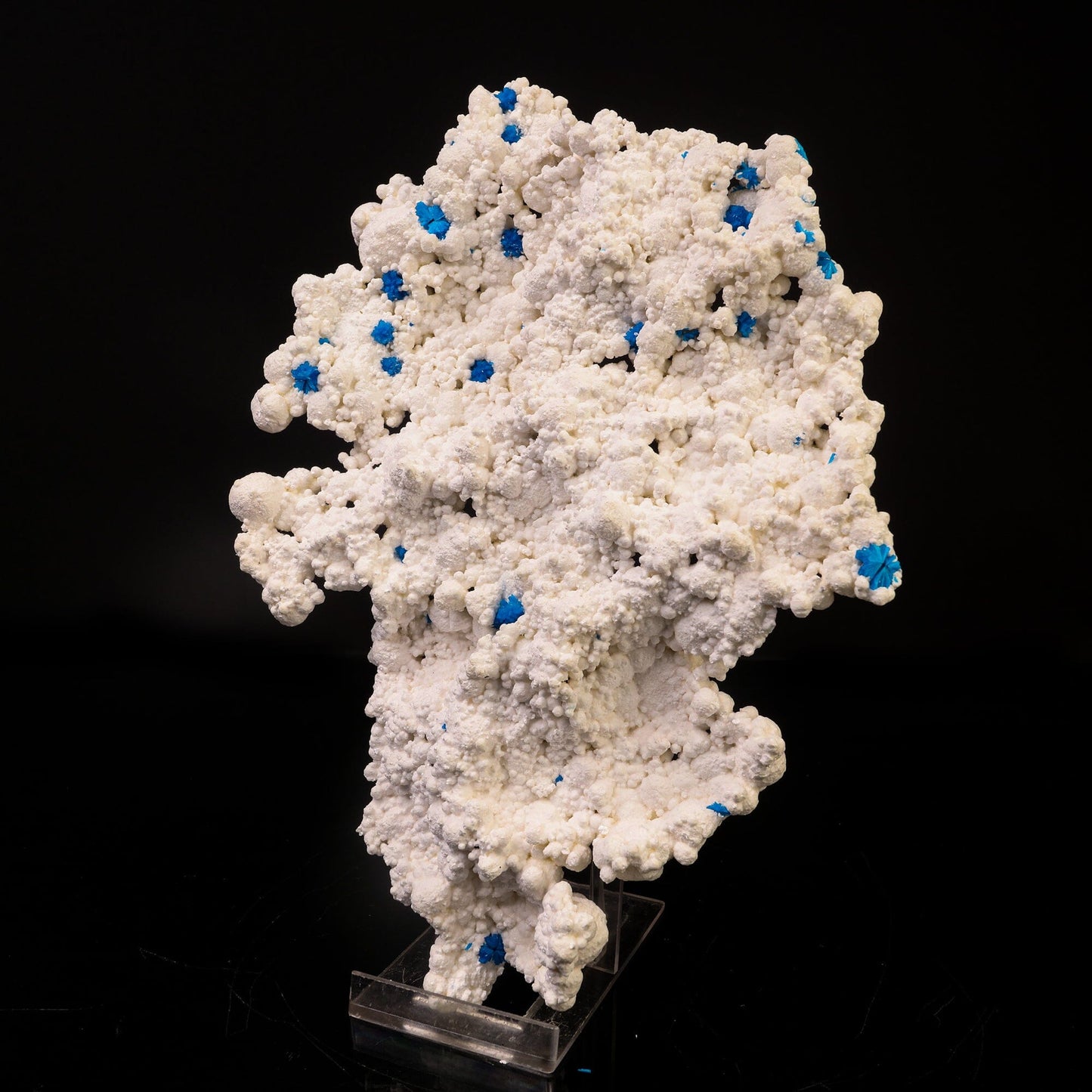 Rare Cavansite on Floater Mordenite Natural Mineral Specimen, Default Title at Stemcell Science Shop