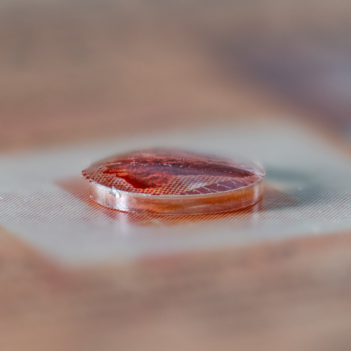 Red Ochre Dawn of Creativity - Card Display