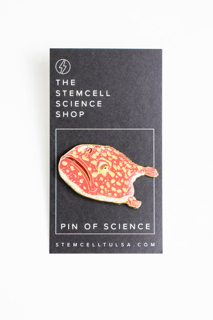 Red Sea Toad Enamel Pin Pin Stemcell Science Shop