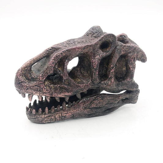 Replica Allosaurus Mini Dinosaur Skull Fossil - Fossil from Stemcell Science Shop