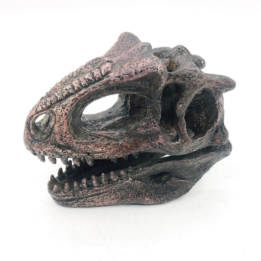 Replica Carnotaurus Mini Dinosaur Skull Fossil - Fossil from Stemcell Science Shop