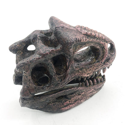 Replica Carnotaurus Mini Dinosaur Skull Fossil Fossil Stemcell Science Shop