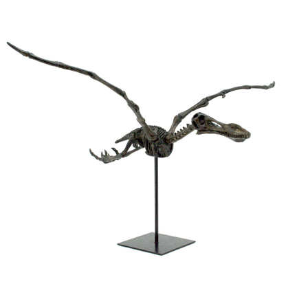 Replica Flying Pterosaur Fossil with Stand Fossil Stemcell Science Shop