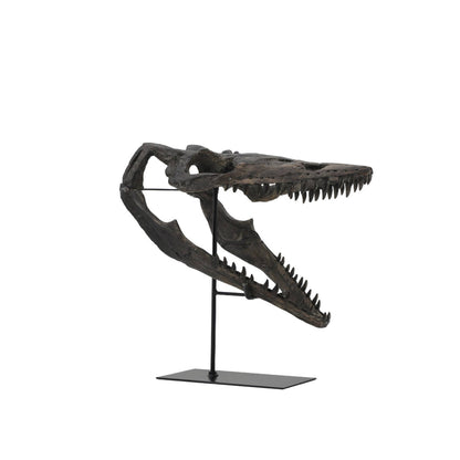 Replica Plioplatecarpus Dinosaur Skull Fossil with Stand Fossil Stemcell Science Shop