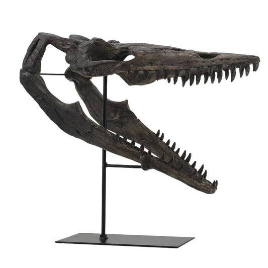 Replica Plioplatecarpus Dinosaur Skull Fossil with Stand - Fossil from Stemcell Science Shop