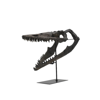 Replica Plioplatecarpus Dinosaur Skull Fossil with Stand Fossil Stemcell Science Shop