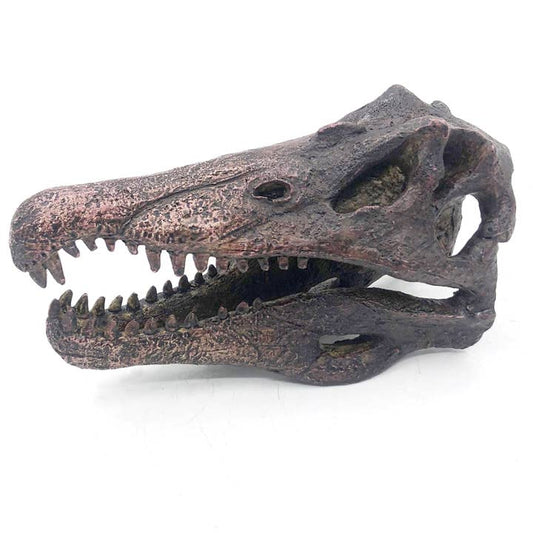 Replica Spinosaurus Mini Dinosaur Skull Fossil - Fossil from Stemcell Science Shop