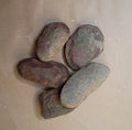 Unopened Mazon Creek Fossil Nodule (large)