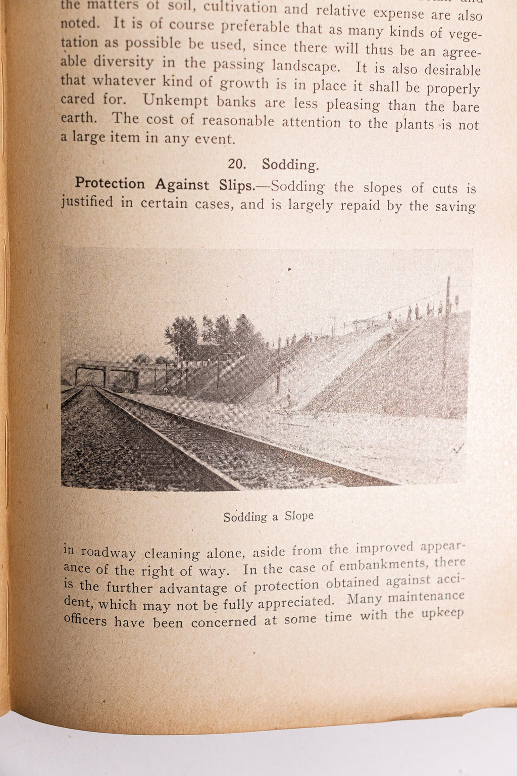 Roadway and Track, Default Title at Stemcell Science Shop