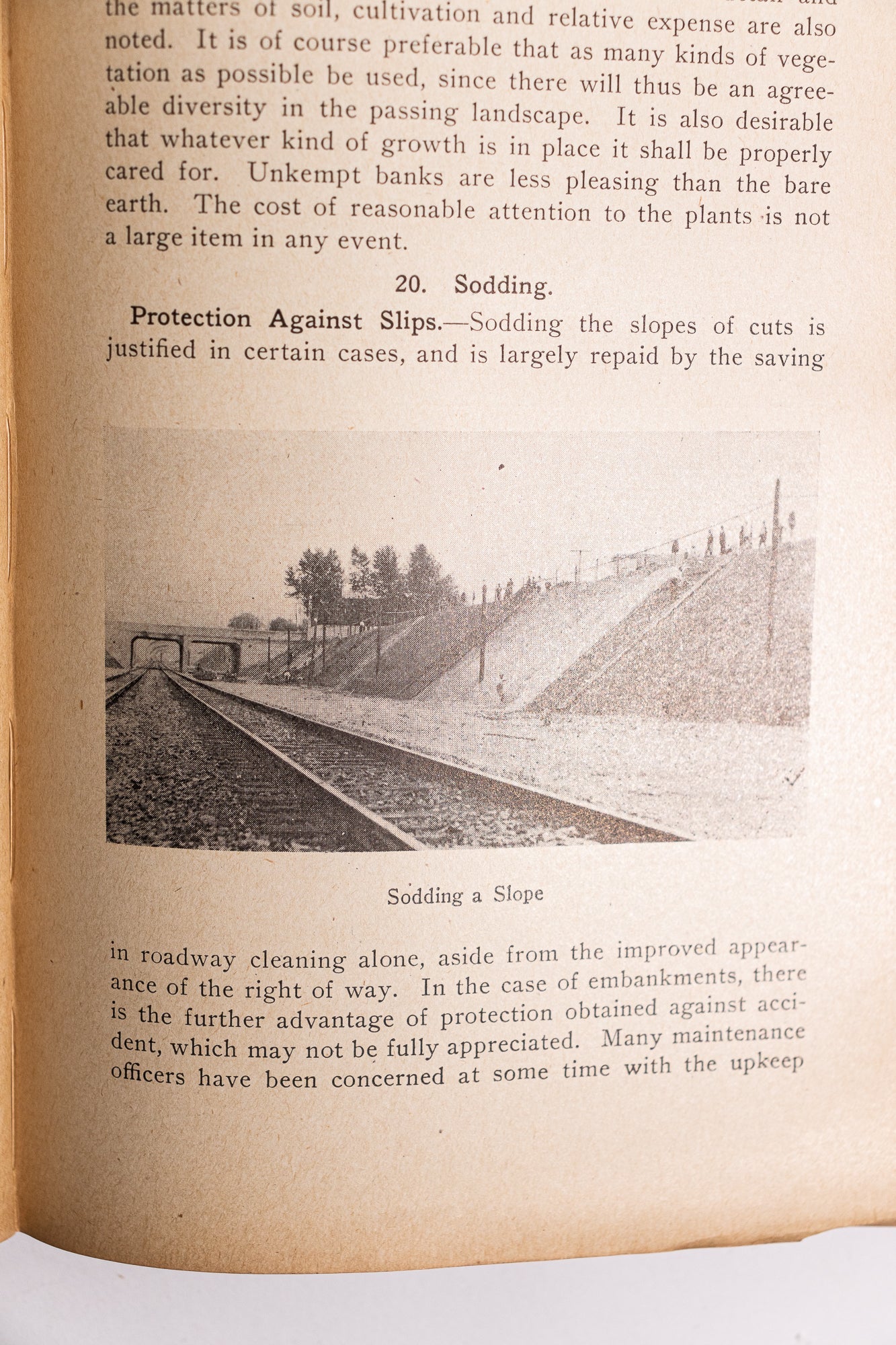 Roadway and Track, Default Title at Stemcell Science Shop