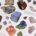 A collection of raw, rough gemstones and crystals in various colors and shapes, arranged on a plain white background. The stones include shades of blue, purple, pink, green, orange, brown, and gray, with some showing a metallic or iridescent sheen.