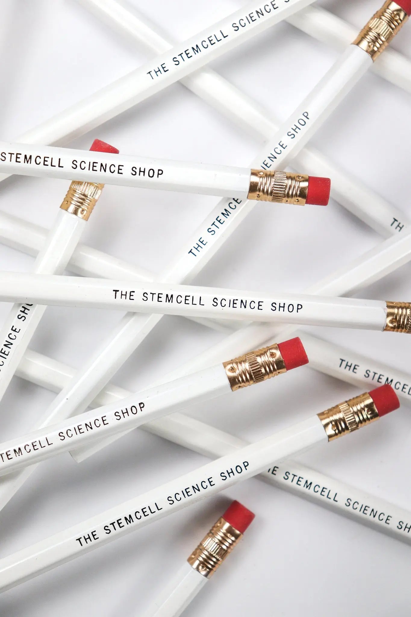 Science Pencils - 18/pk Stationery Stemcell Science Shop