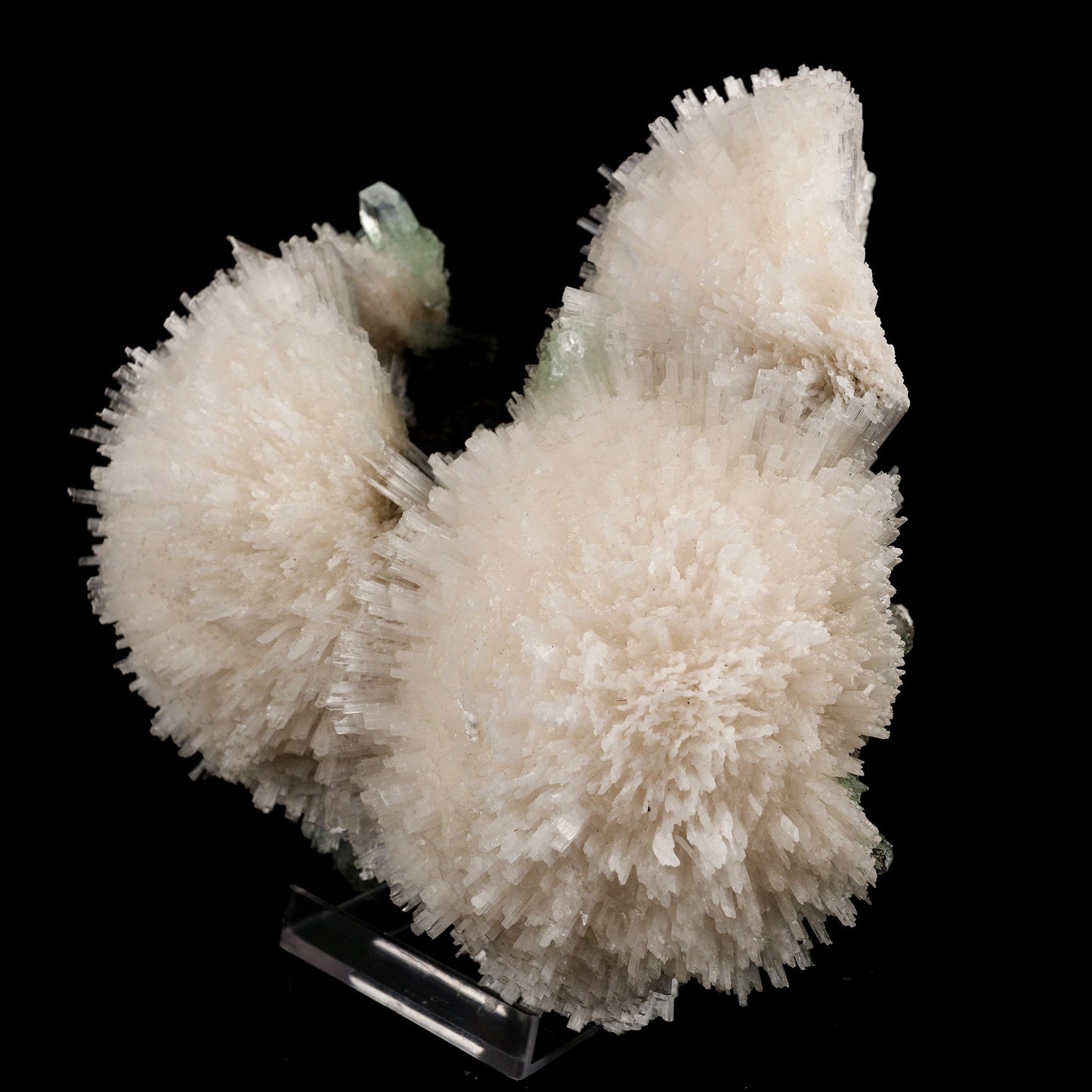 Scolecite Huge Spray on Green Apophyllite Cube Natural Mineral Specimen #5667