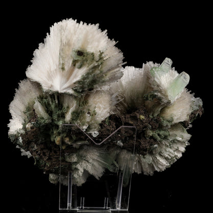 Scolecite Huge Spray on Green Apophyllite Cube Natural Mineral Specimen #5667