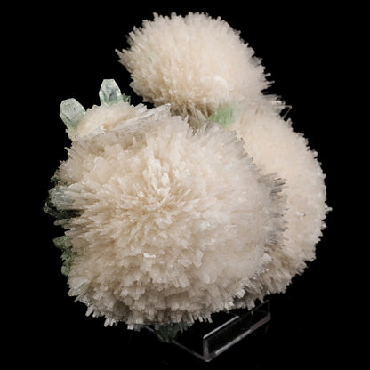 Scolecite Huge Spray on Green Apophyllite Cube Natural Mineral Specimen #5667