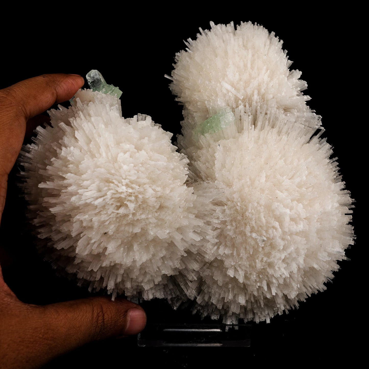 Scolecite Huge Spray on Green Apophyllite Cube Natural Mineral Specimen #5667