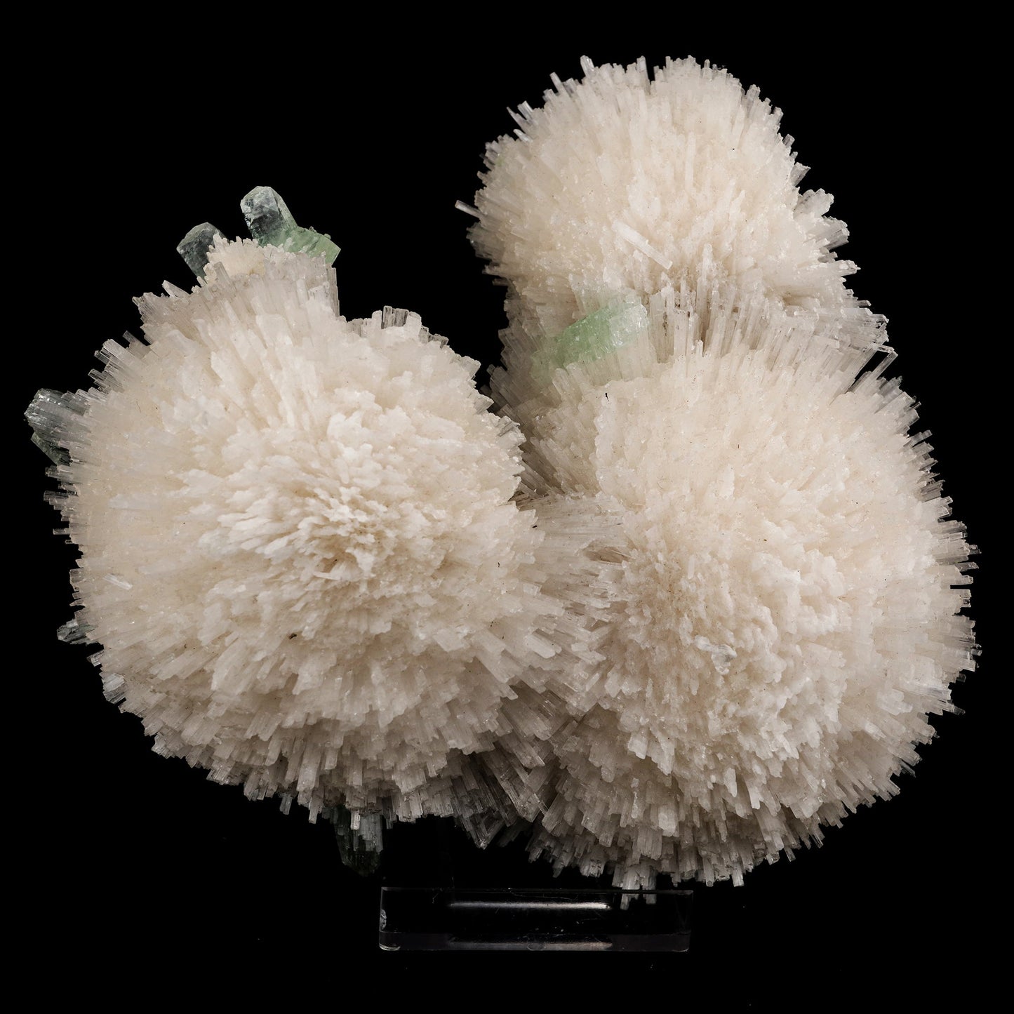 Scolecite Huge Spray on Green Apophyllite Cube Natural Mineral Specimen #5667