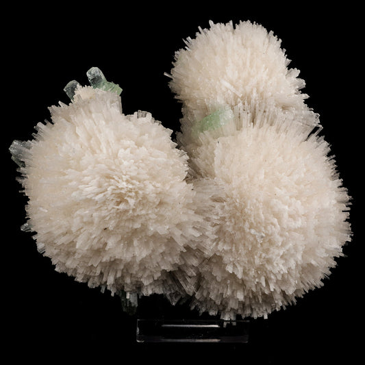 Scolecite Huge Spray on Green Apophyllite Cube Natural Mineral Specimen #5667