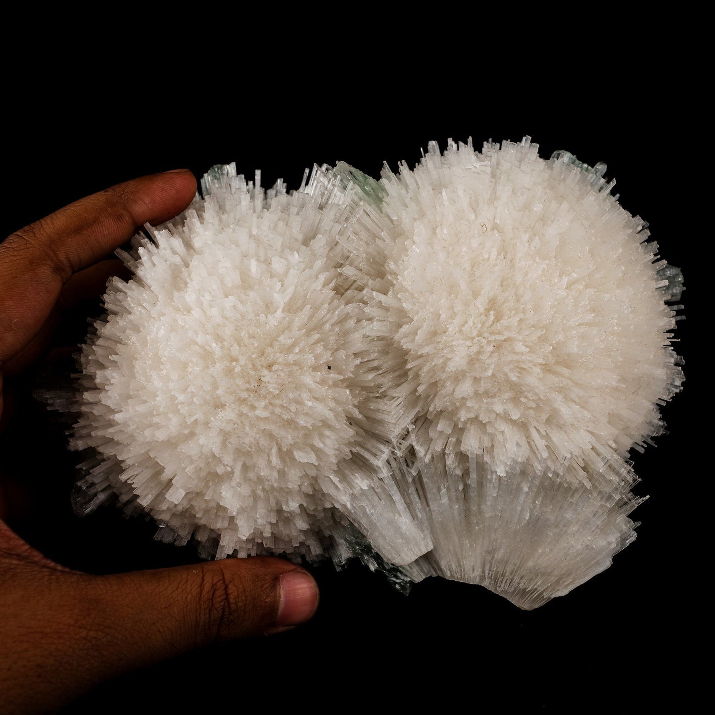 Scolecite Huge Spray with Green Apophyllite Cube Natural Mineral Specimen # B 5725