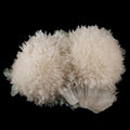Scolecite Huge Spray with Green Apophyllite Cube Natural Mineral Specimen # B 5725