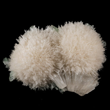 Scolecite Huge Spray with Green Apophyllite Cube Natural Mineral Specimen # B 5725