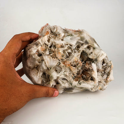 Scolecite Spray Brown color with Apophyllite cubes Natural Mineral Specimen # B 6267