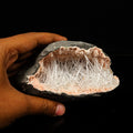 Scolecite Spray in Heulandite Geode Natural Mineral Specimen # B 6764