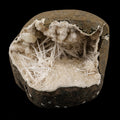 Scolecite Spray Inside Chalcedony Geode Natural Mineral Specimen # B 6142