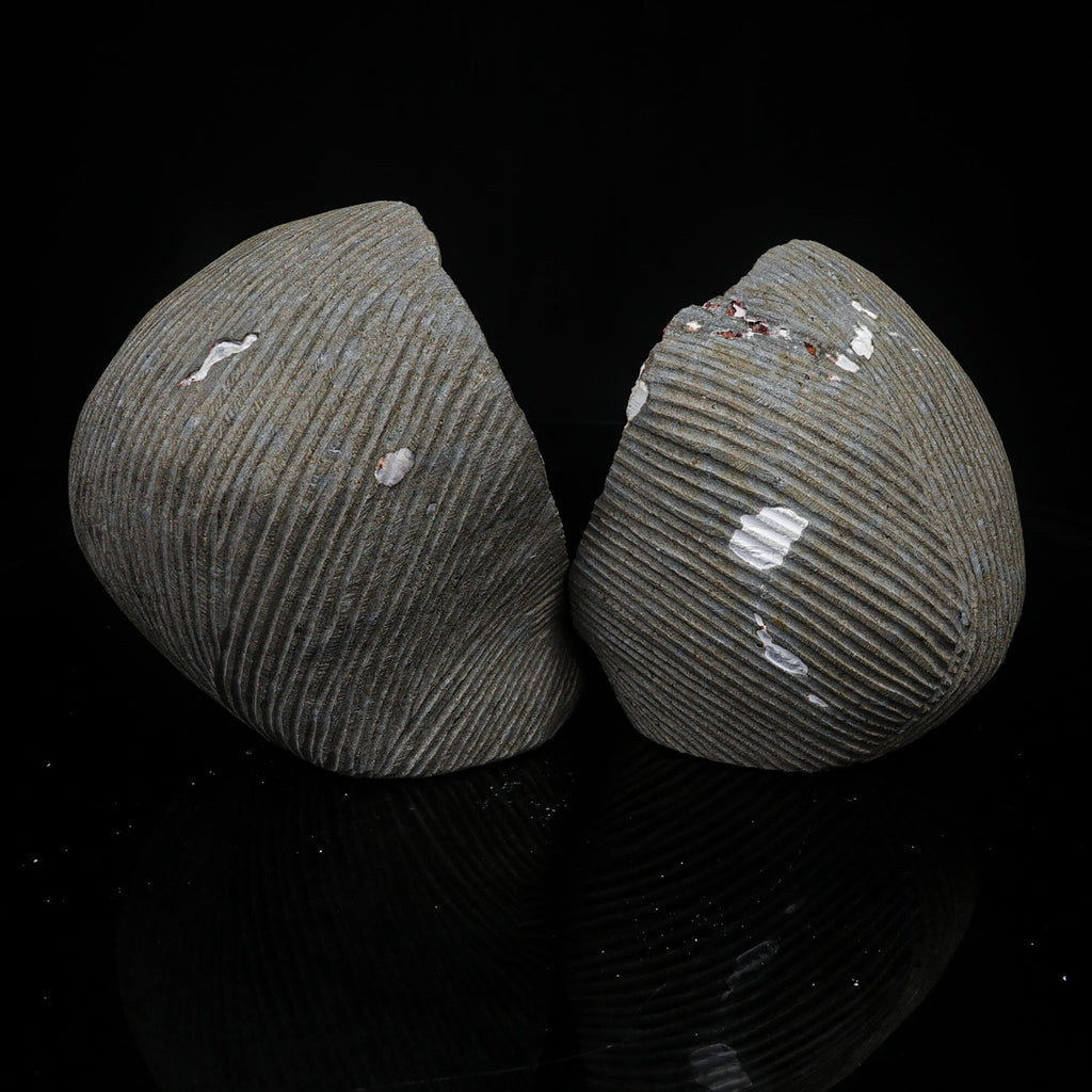 Scolecite Spray Inside Complete Geode Natural Mineral Specimen # B 7029