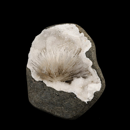 Scolecite Spray Inside MM Quartz Geode Natural Mineral Specimen # B 6330