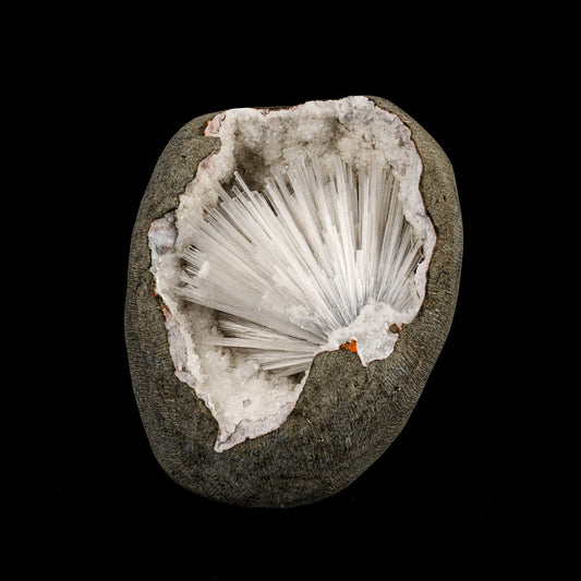 Scolecite Spray Inside MM Quartz Geode Natural Mineral Specimen # B 6335