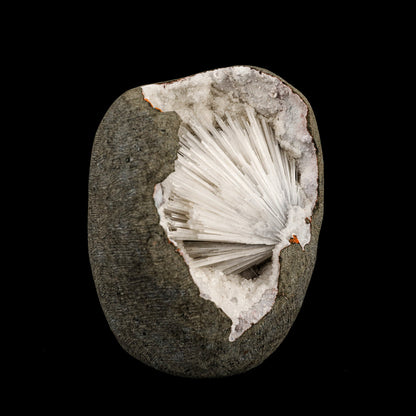 Scolecite Spray Inside MM Quartz Geode Natural Mineral Specimen # B 6335