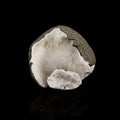Scolecite Spray Inside MM Quartz Geode Natural Mineral Specimen # B 6345