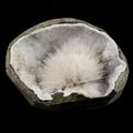 Scolecite Spray Inside MM Quartz Geode Natural Mineral Specimen # B 6565