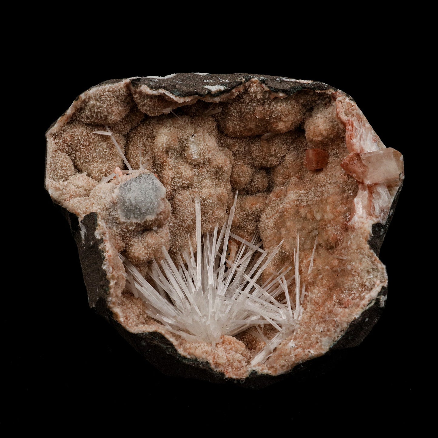 Scolecite Sprays Fan Inside Heulandite Geode Natural Mineral Specimen  # B 5133