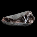 Scolecite Sprays Inside Geode Natural Mineral Specimen  # B 4650