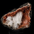 Scolecite Sprays Inside Heulandite Geode Natural Mineral Specimen # B 5685