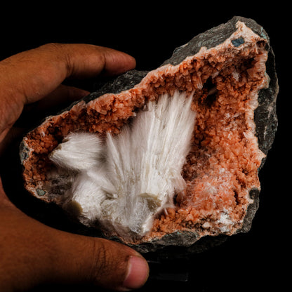 Scolecite Sprays Inside Heulandite Geode Natural Mineral Specimen # B 5685