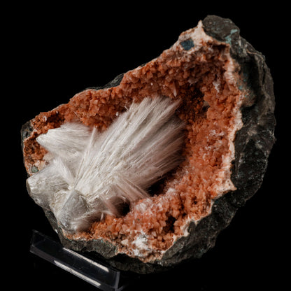 Scolecite Sprays Inside Heulandite Geode Natural Mineral Specimen # B 5685