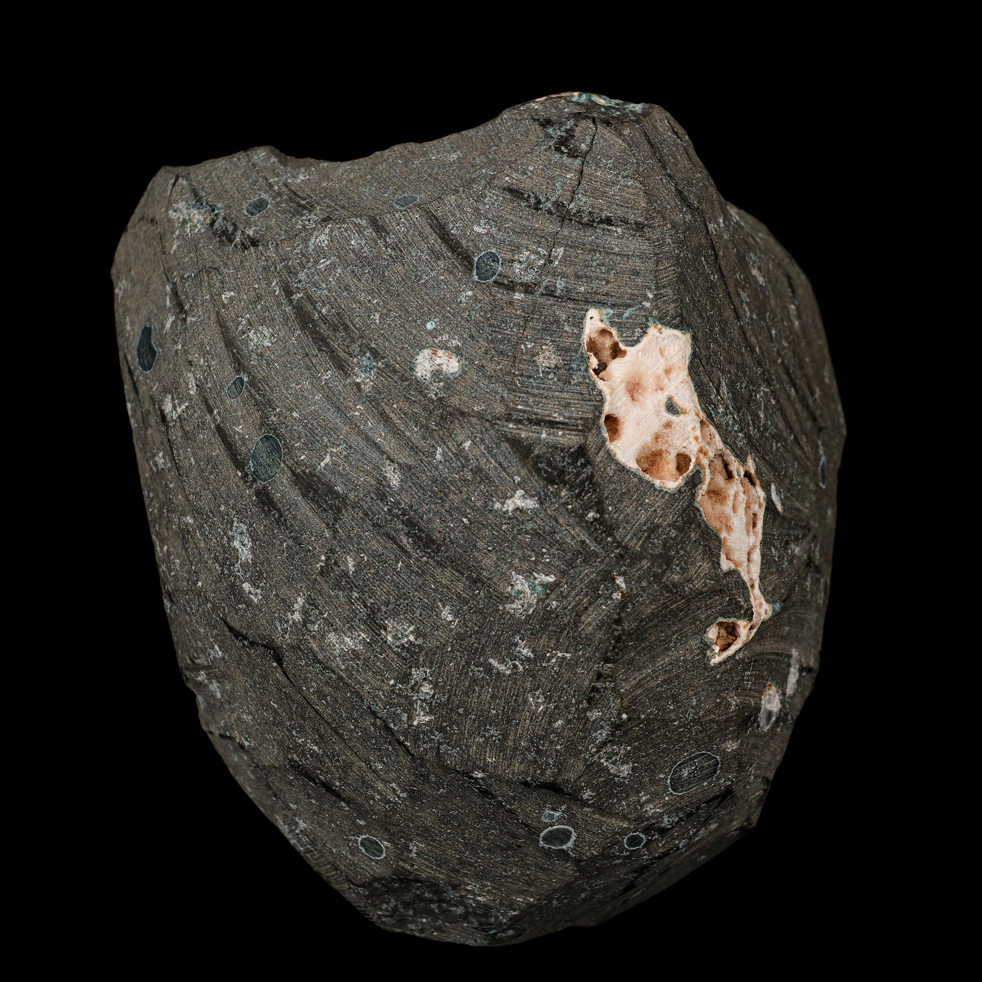 Scolecite Sprays Inside Heulandite Geode Natural Mineral Specimen # B 5745