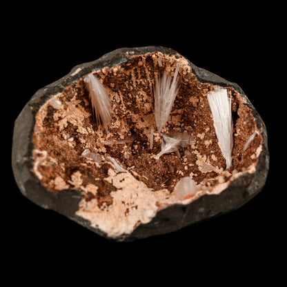 Scolecite Sprays Inside Heulandite Geode Natural Mineral Specimen # B 5823