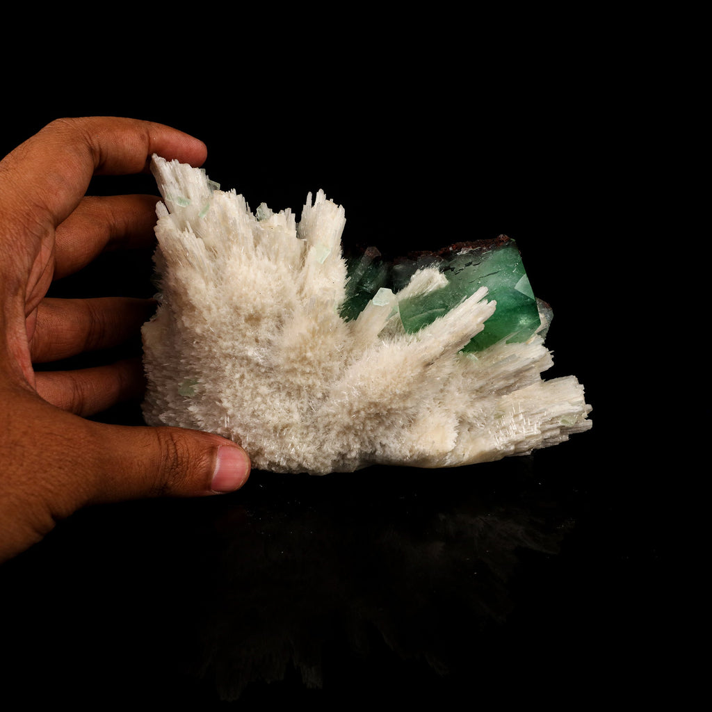 Scolecite Sprays with green Apophyllite cube Free Standing Natural Mineral Specimen # B 6326