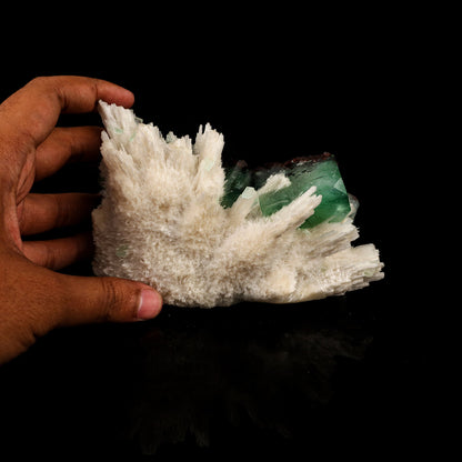 Scolecite Sprays with green Apophyllite cube Free Standing Natural Mineral Specimen # B 6326